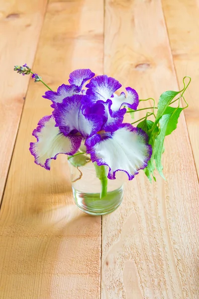 Iris flower in small glass vase. — Stock Photo, Image