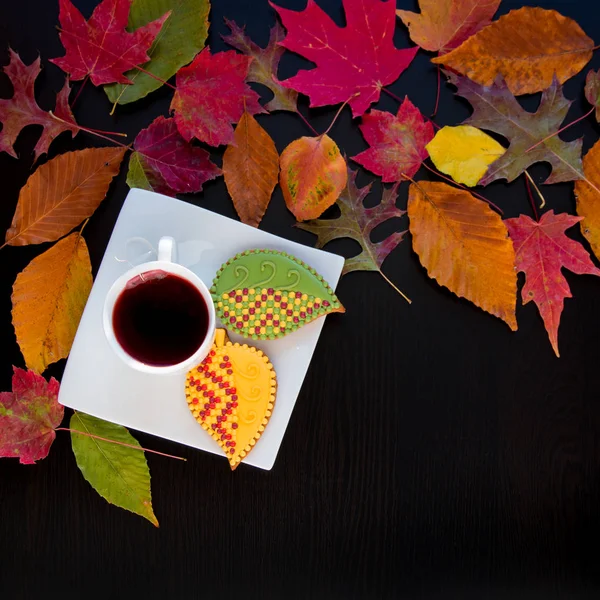 Autumn homemade  cookies. — Stock Photo, Image