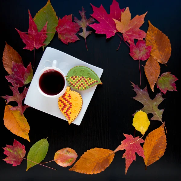 Autumn homemade  cookies. — Stock Photo, Image