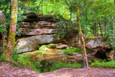 Mountain forest and natural stone bridge. clipart