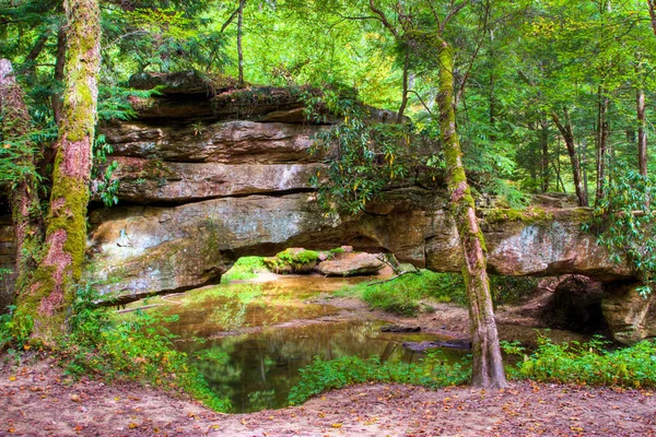 Bergwald und Natursteinbrücke. — Stockfoto