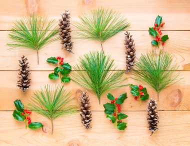 Noel kompozisyon. Çam kozalakları ve dalları h ile desen