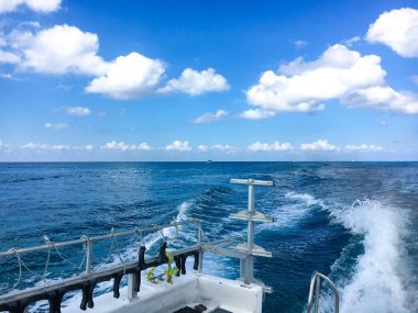 Okyanus tekne gezisine