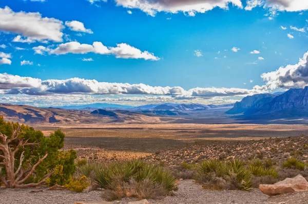 Paisaje del desierto en Nevada, Estados Unidos — Foto de Stock