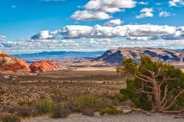 Woestijn landschap in Nevada, Verenigde Staten. — Stockfoto