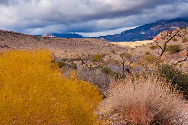 Desert landscape with  rainy  clouds in  Nevada, USA. — Stock Photo, Image