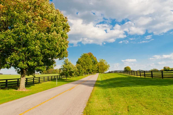 Strada di campagna circondata dagli allevamenti di cavalli . — Foto Stock