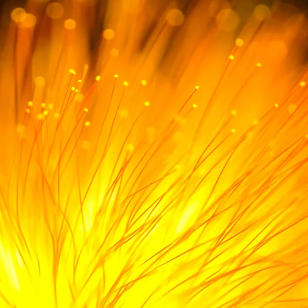 Streszczenie niewyraźne pomarańczowe światło żółte, i kwiat naturalny backgrou — Zdjęcie stockowe