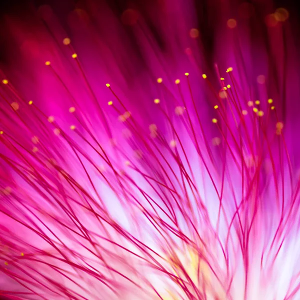 Абстрактный размытый фиолетовый цветок — стоковое фото