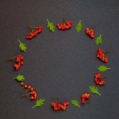 Yaprakları ve siyah arka plan üzerine ashberry ile sonbahar çelenk
