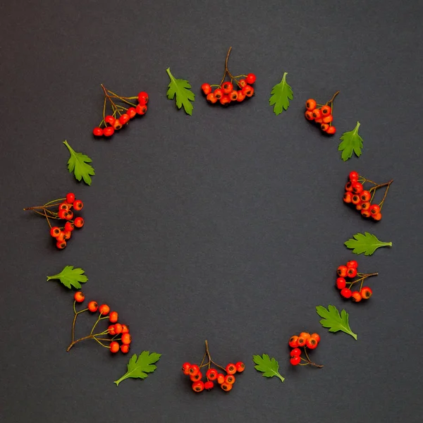 Herbstkranz mit Blättern und Esche auf schwarzem Hintergrund — Stockfoto