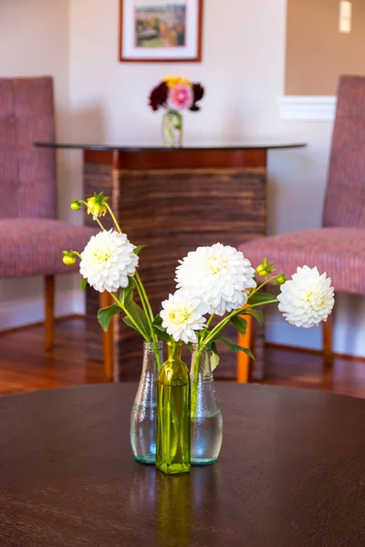 Conjunto de flores de dalia blanca en jarrones de vidrio —  Fotos de Stock