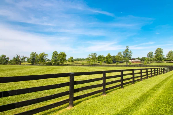 Zwarte houten hek en groene weiden van paard boerderijen — Stockfoto