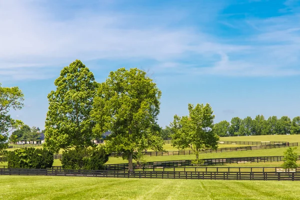 Grüne Weiden von Pferdehöfen. — Stockfoto