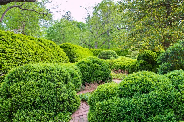 Lente, formele tuin landschap in park — Stockfoto