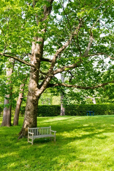 Bahar, tezgah parkı