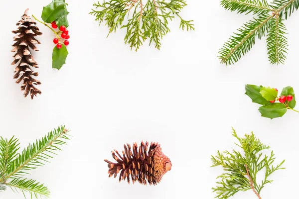 Christmas decorating natuurelementen op witte houten tafel. — Stockfoto