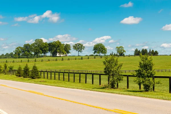 Strada di campagna. e pascoli verdi di allevamenti di cavalli . — Foto Stock