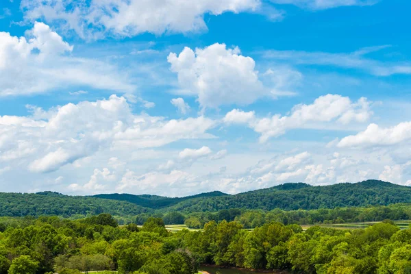 Heldere blauwe hemel met wolken boven groen bos. — Stockfoto