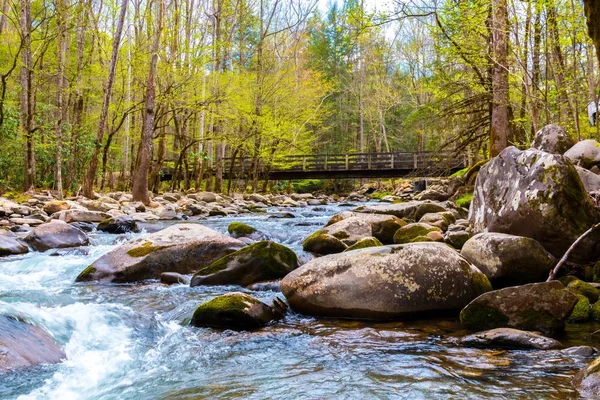 Fiume di montagna. Cascate d'acqua sulle rocce nel Great Smoky Mountains National Park, Stati Uniti — Foto Stock