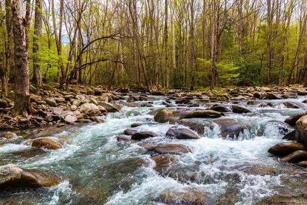 Rzeki górskie. Kaskady wodne po skałach w Great Smoky Mountains National Park, Stany Zjednoczone Ameryki — Zdjęcie stockowe