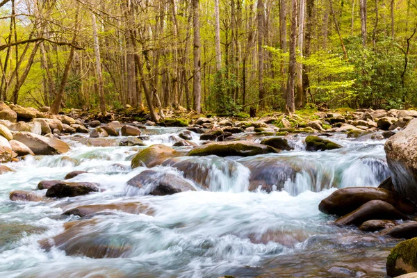 Rzeki górskie. Kaskady wodne po skałach w Great Smoky Mountains National Park, Stany Zjednoczone Ameryki — Zdjęcie stockowe