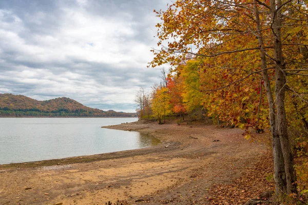 Herfst seizoen op meer met prachtig bos op bewolkte dag — Stockfoto