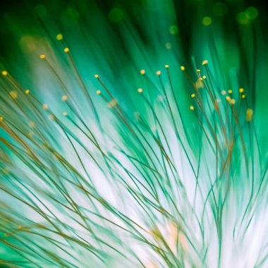 Bulanık kırmızı ışık soyut, doğal arka plan çiçek.