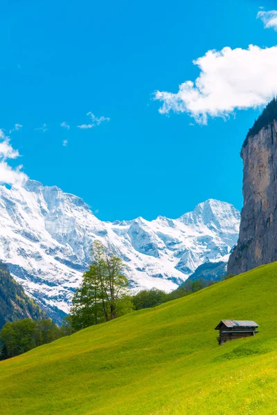 Cabane sur la pente verdoyante de montagne. Paysage des Alpes suisses. Lauterbrunn — Photo