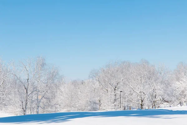 Naturliga vinterlandskap, vita träden efter snöfall. — Stockfoto