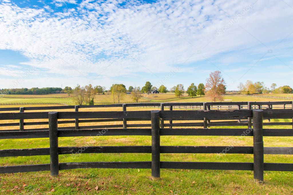 Beautiful country landscape with black wooden fence and pastures