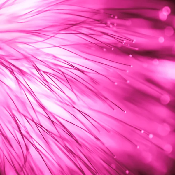 Абстрактный Размытый Фиолетовый Свет Цветок Естественного Фона — стоковое фото
