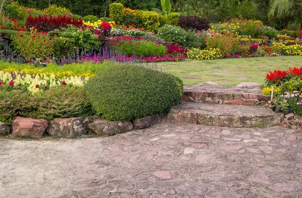 Bunte Blume im Garten — Stockfoto