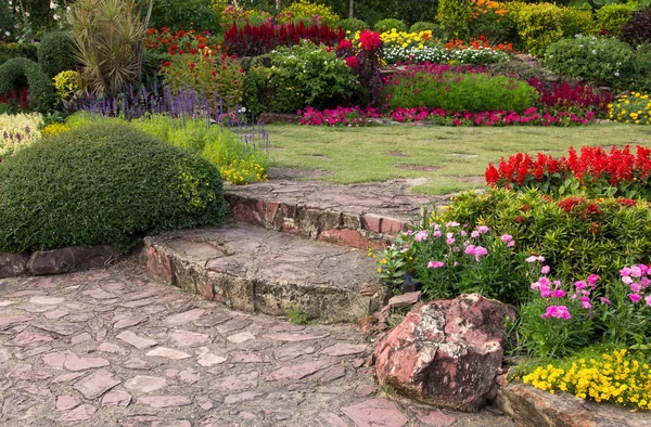 Colorful flower in the garden — Stock Photo, Image