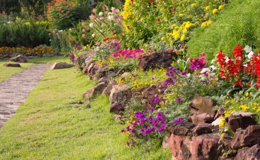 Bahçedeki renkli çiçek.