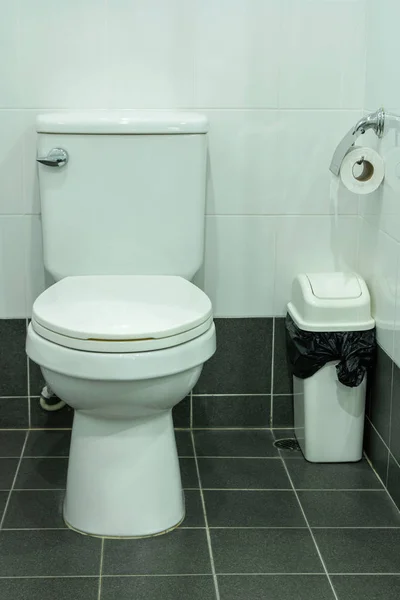 Tazón de inodoro y papel higiénico en el baño —  Fotos de Stock