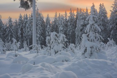 Lapland, İsveç, Norrbotten kışın