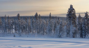 Lapland, İsveç, Norrbotten kış aylarında