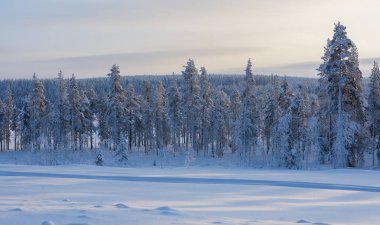 Lapland, İsveç, Norrbotten kış aylarında