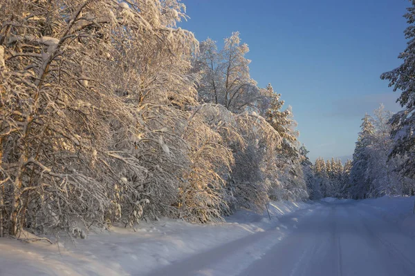 Зима в Швеции — стоковое фото