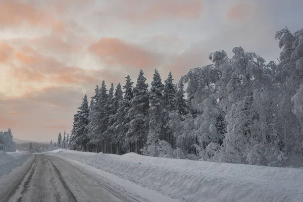 Зима в Швеции — стоковое фото