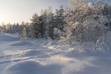 İsveçli Lapland kışın