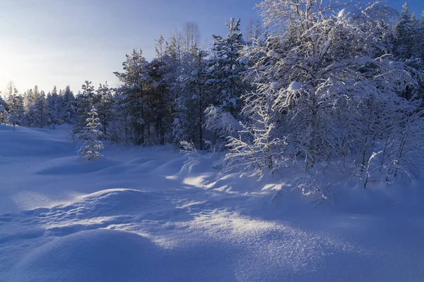 The winter in swedish Lapland — Stock Photo, Image