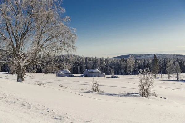 Der Winter im schwedischen Lappland — Stockfoto