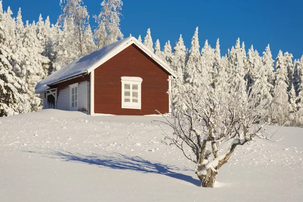 Der Winter im schwedischen Lappland — Stockfoto