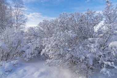 İsveçli Lapland kışın