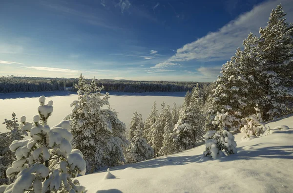 El invierno en Laponia sueca — Foto de Stock