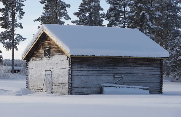 El invierno en Laponia sueca — Foto de Stock