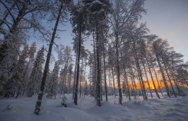 the winter in swedish Lapland clipart