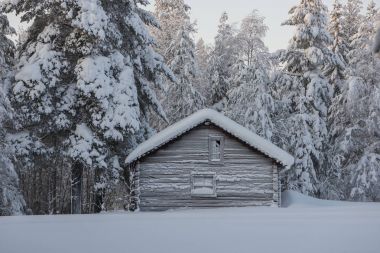 İsveçli Lapland kışın